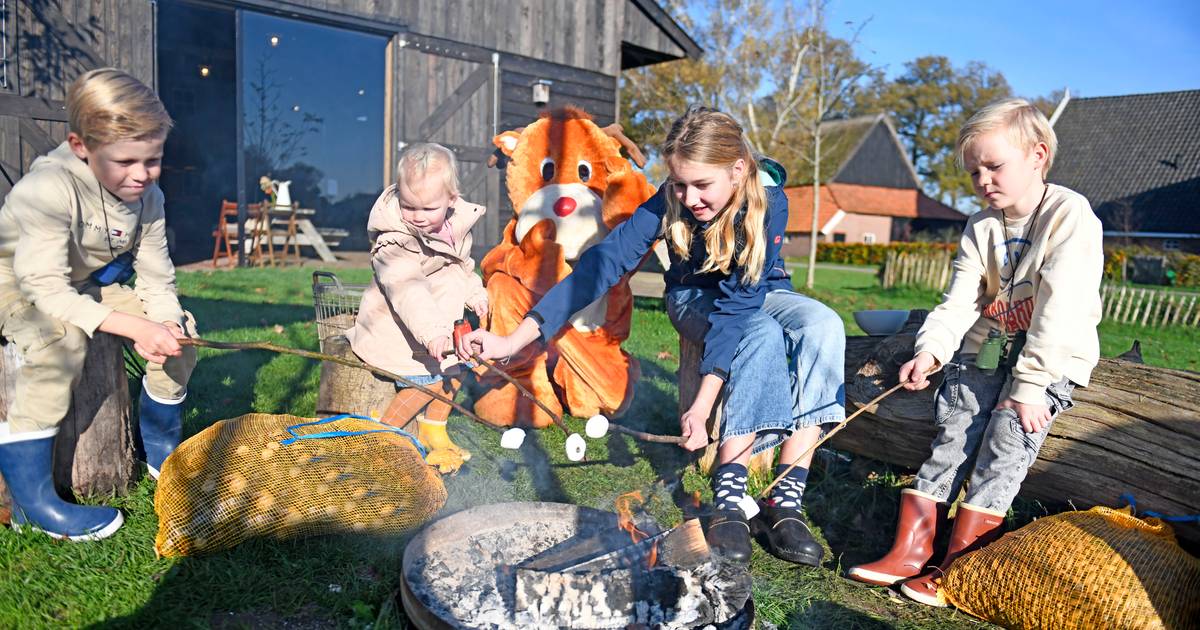Heb je goed voer, dan krijg je goed vlees: honderden kilo’s eikels voor herten in Geesteren