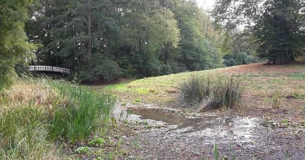 Extreme droogte veroorzaakt grote zorgen op kastelen in Oost-Nederland - De Stentor