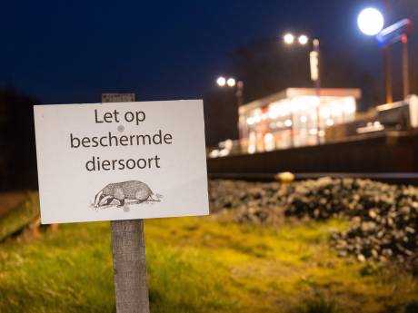 ProRail mag dassen bij Fries station verhuizen: kleppen voor gangen van burcht