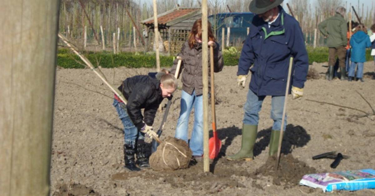 Boomfeestdag in Oudelande