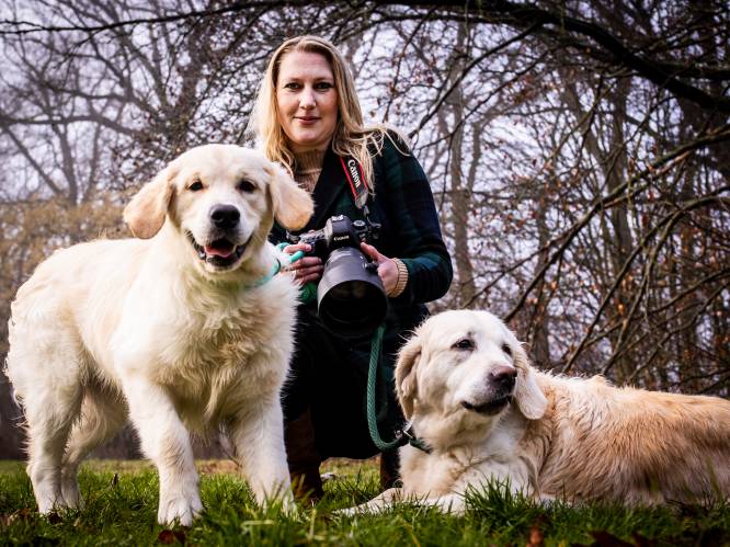 Moeilijke periode gaf Linsey (35) uit Nijverdal wilskracht, ze koos voor haar passie: hondenfotografie