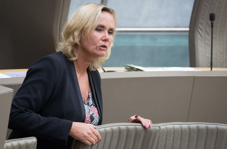 N-VA-minister Liesbeth Homans. Beeld BELGA