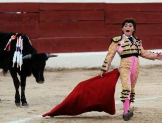Elfjarige Franse toreador Michelito doodt zes stieren