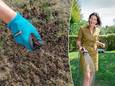 Onze tuinexperte Laurence Machiels vertelt hoe je je gazon snel weer groen krijgt.