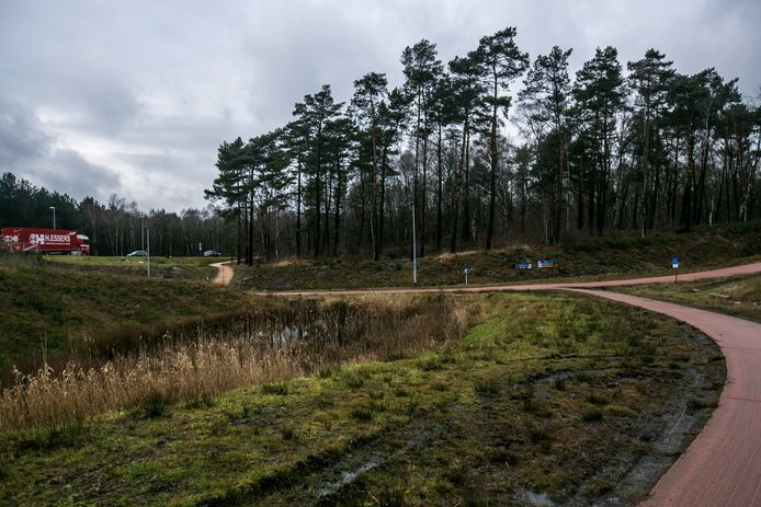 Het terrein waar Essers het bos wil kappen.