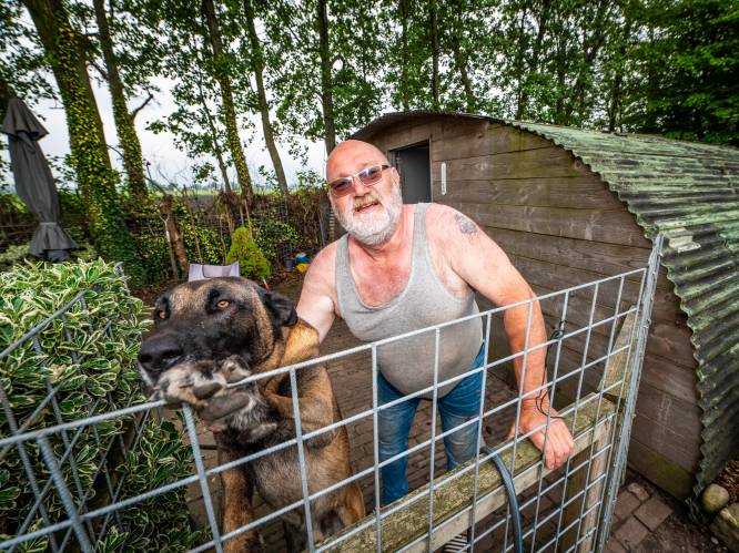 Arie (63) vecht tot de laatste snik voor zijn illegale stek in de polder: ‘Als ze me hier weghalen, ga ik kapot’