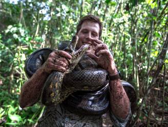 Groene anaconda die ontdekt werd door Freek Vonk overleden, vermoedelijk doodgeschoten