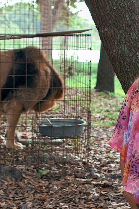 Carole Baskin gagne son procès: le zoo de Joe Exotic tombe sous sa coupe