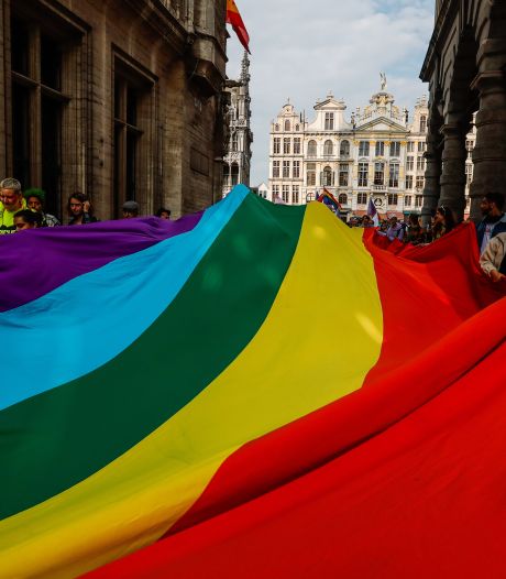 Journée pour les droits des LGBTQIA+: des violences “omniprésentes” mais peu signalées à Bruxelles