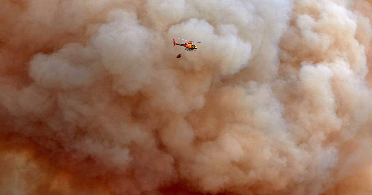 Incendi boschivi a ovest di Barcellona fuori controllo, comprese le evacuazioni dovute ai grandi incendi nella Sardegna occidentale |  all’estero