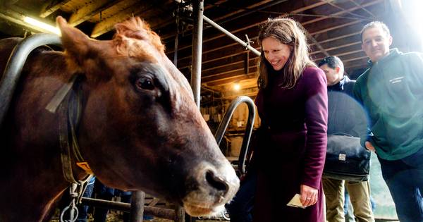 Minister Schouten vindt ons eten te goedkoop: wat vind jij? - De Stentor