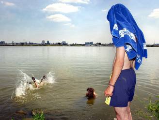 Straks legaal zwemmen in het Galgenweel? Volgens nieuwe studie is waterkwaliteit er ‘fantastisch proper’