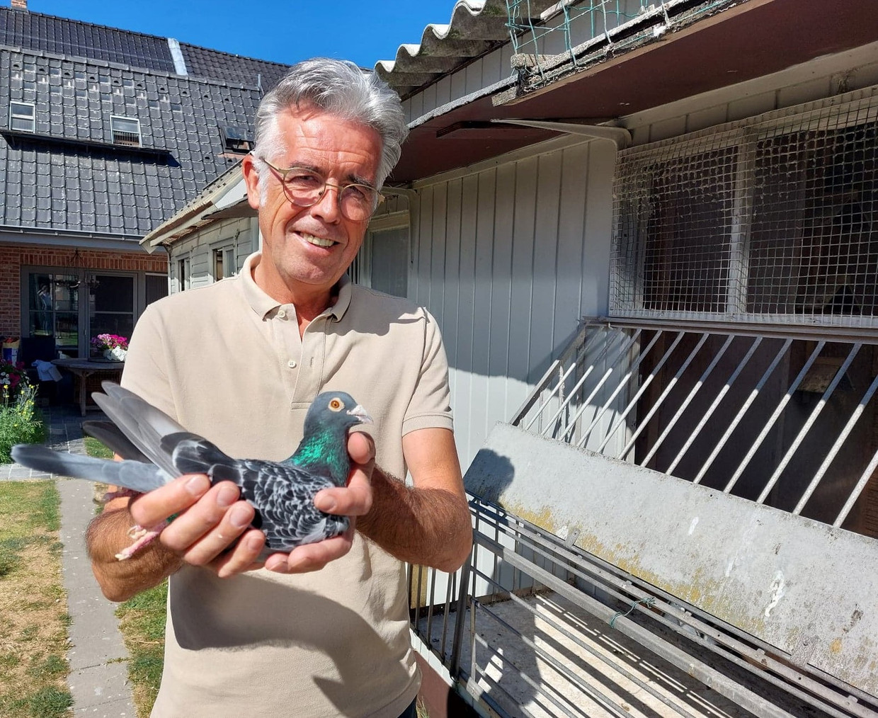 Geert De Coninck uit Beveren wacht nog altijd op elf vermiste duiven. Beeld RV
