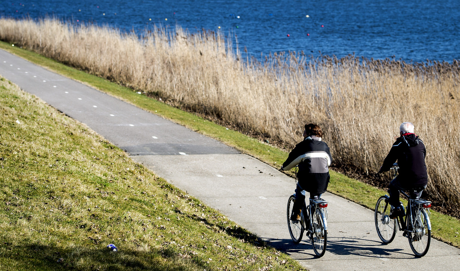 Koud en zonnig in herfstvakantie van regio's Midden en Zuid Foto AD.nl