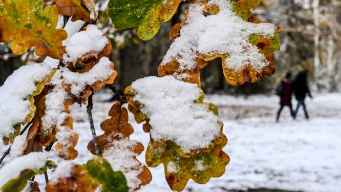 WEERBERICHT. Zwaarbewolkte dag met lichte neerslag en sneeuw in Hoge Ardennen, temperaturen tot 4 graden