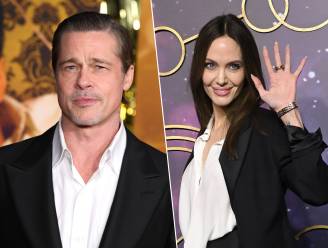 “Brad Pitt en Angelina Jolie gaan schikken over wijnkasteel”