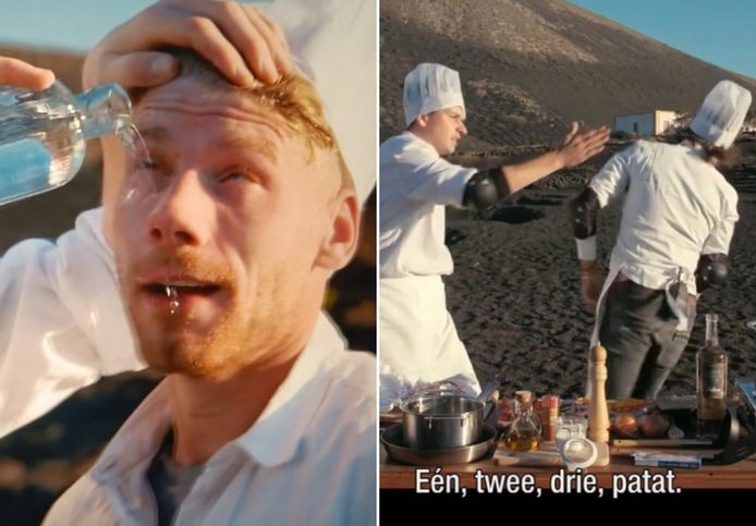 De mol