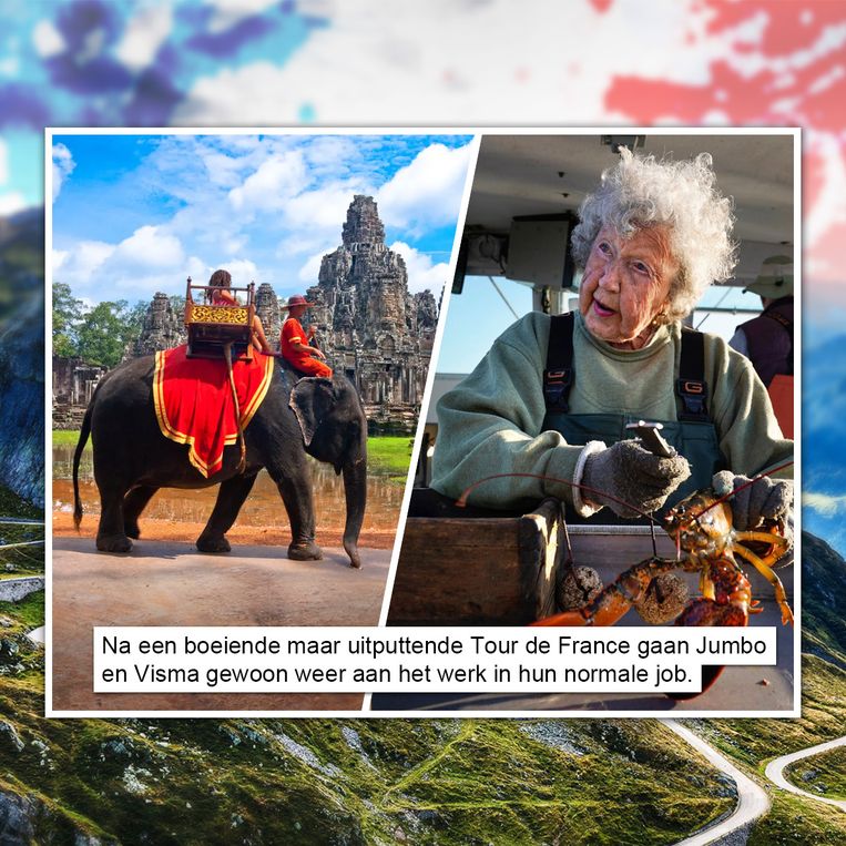 GVDW Beeld Humo