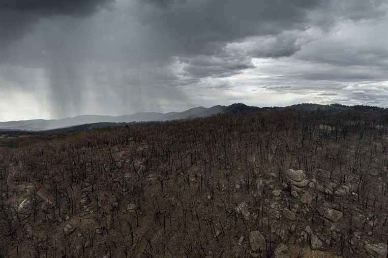 inspanning Sleutel premie Eindelijk regen in Australië: 'Dit is het beste nieuws in maanden' | De  Morgen