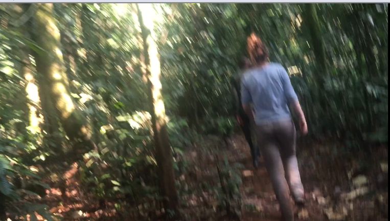 Filmstill uit de video. Beeld klaas van dijken