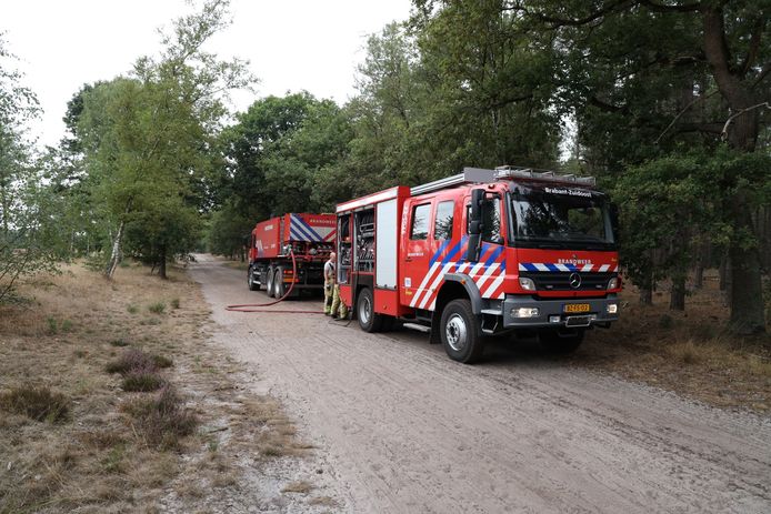 Les pompiers sont intervenus vendredi matin dans la forêt de la Schietbaanlaan à Best.