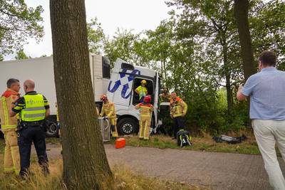 Vrachtwagen rijdt boom uit de grond op N-weg in Bakel