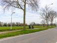 Een terrein aan de Tilburgseweg in Waalwijk is in beeld voor de komst van Skaeve Huse.