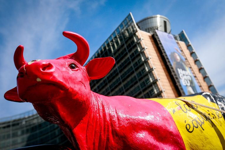 Protest tegen het verdrag voor het EU-hoofdkwartier in Brussel. Beeld ANP / EPA