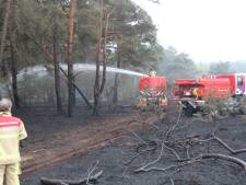 Brandweer rukt opnieuw uit naar Sallandse Heuvelrug om te blussen