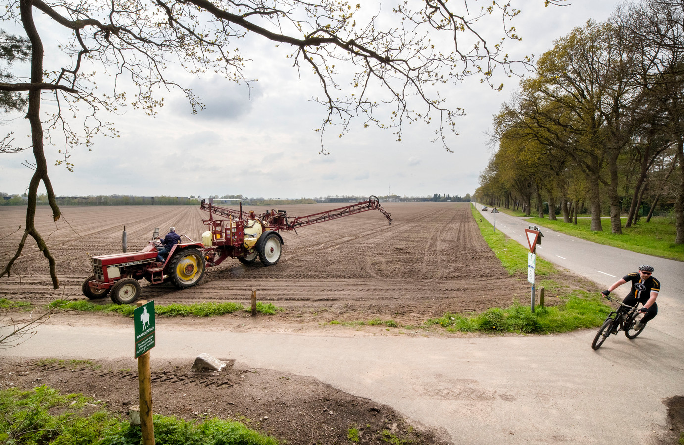De locatie van de landbouwgrond langs de Autoweg bij Remmerden waar mogelijk een zonnepark komt.