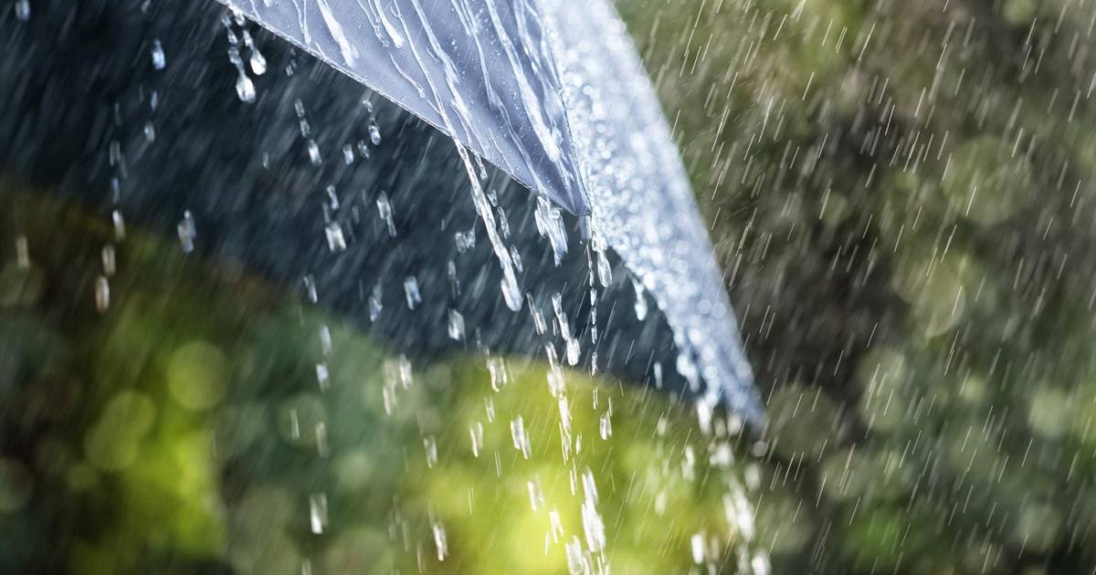 Climate models underestimate the increase in heavy rainfall due to global warming: what can we expect?  |  Science and the planet