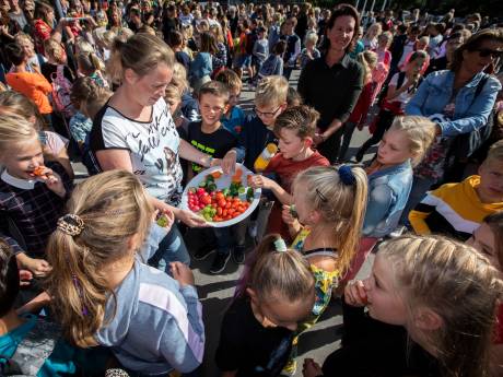 Bernadetteschool in Naaldwijk krijgt bijzonder bezoek: dertig Chinese kinderen komen om Engels te praten