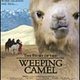 Review: The Story of the Weeping Camel