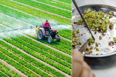 Beschermen schimmels, feromonen of chilipepers straks onze gewassen? Hoe pesticidenreus Bayer (noodgedwongen) vergroent