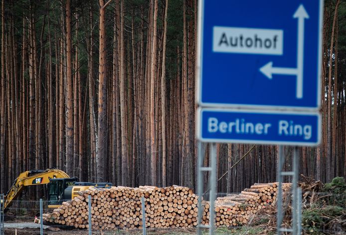 Milieuactivisten plannen protesten nu Tesla verder mag gaan met het kappen van het bos.