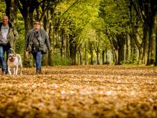 Stabiel herfstweer op komst met af en toe een zonnetje