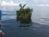 Des pêcheurs découvrent l'une des plus petites îles du monde en Indonésie