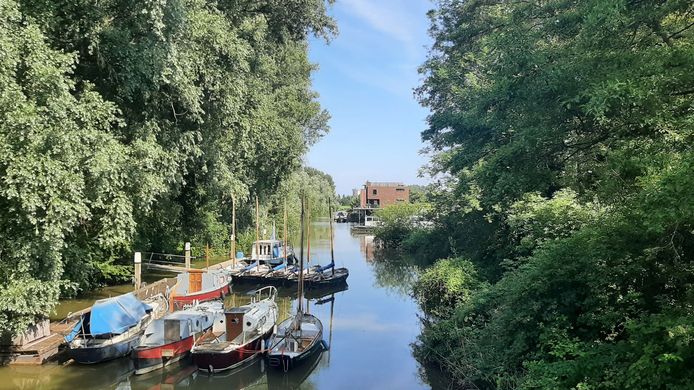 De nieuwe brug of het nieuwe voetveer komt over de Vlij en moet villawijk Plan Tij (rechts) verbinden met het Wantijpark (links).