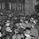 Vluchten of blijven? Uwe Wittstock schetst hoe de nazi’s Duitse schrijvers in het nauw dreven