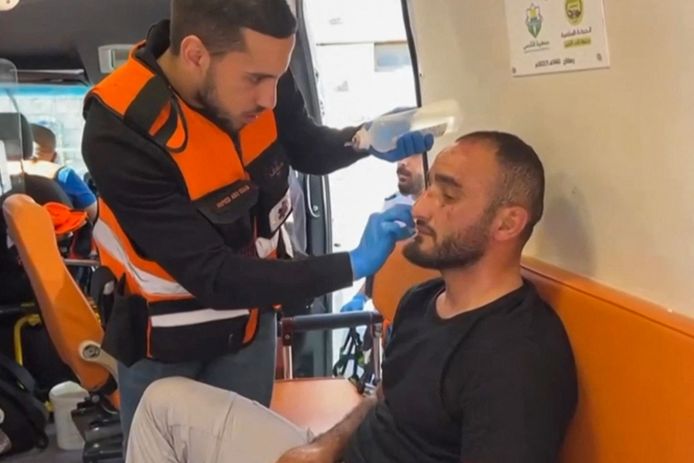 The sheep receives treatment in the ambulance after the accident.
