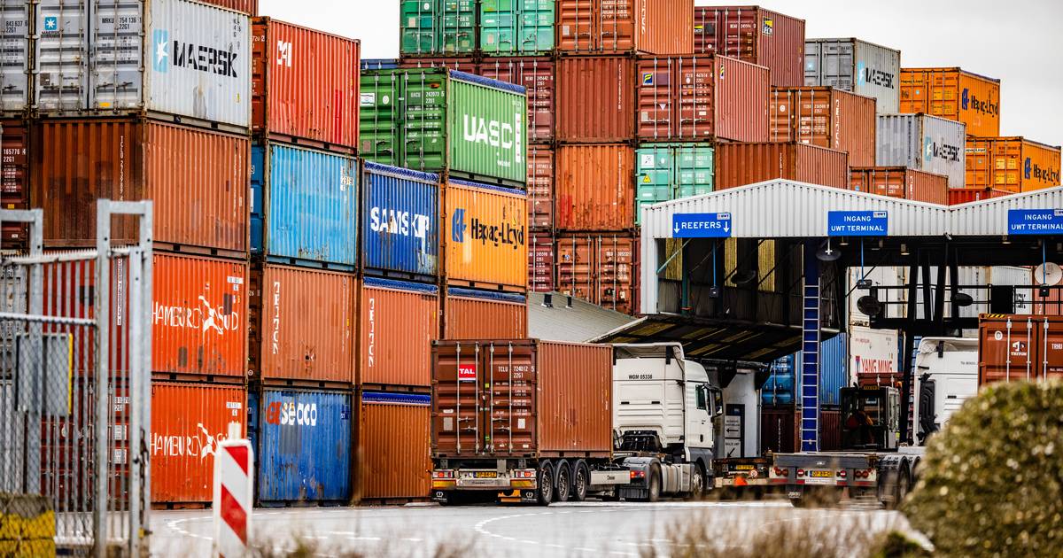 Vier containers met duizenden cilinders aan illegale broeikasgassen ...