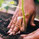 Wat is een propagator en waarom wil je die maken voor je moestuin?