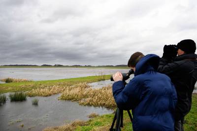 Russische trekvogels brachten vorig jaar de vogelgriep mee