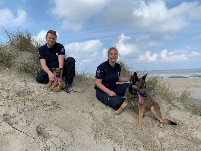 Drugshond Miss (4) krijgt met Marco een compagnon. Inspecteur Yentl Nyffels is het nieuwe baasje van Marco.
