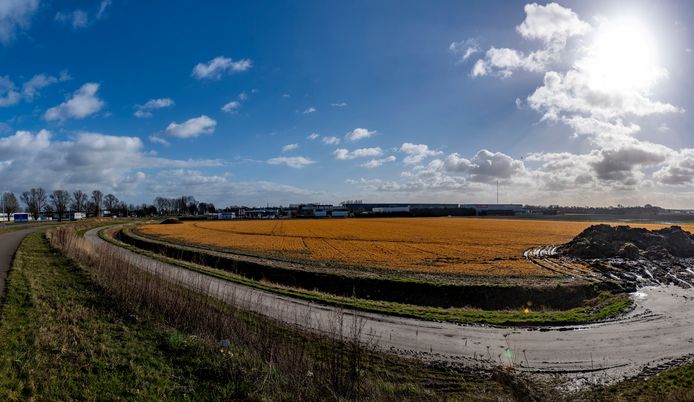 Zicht op het terrein tussen de A4 en Reinierpolder 2 bij Steenbergen waar het nieuwe bedrijventerrein moet komen voor de drie Brabantse Wal-gemeenten Steenbergen, Woensdrecht en Bergen op Zoom.