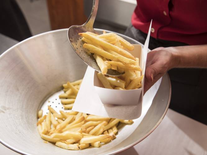 Frituur nóg populairder dan tien jaar geleden: dit zijn onze opvallendste frietgewoontes