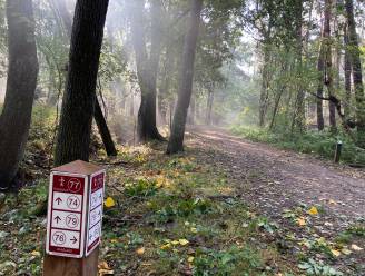 Geniet van een combinatie van natuur en geschiedenis in het Stropersbos