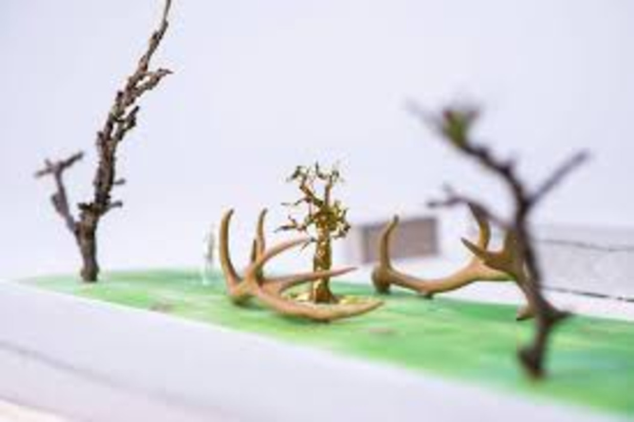 Hindeloopen: Shen Yuan (China), Flora & Fauna Beeld -