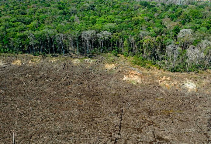 Ontbossing in het Braziliaanse Amazonegebied.