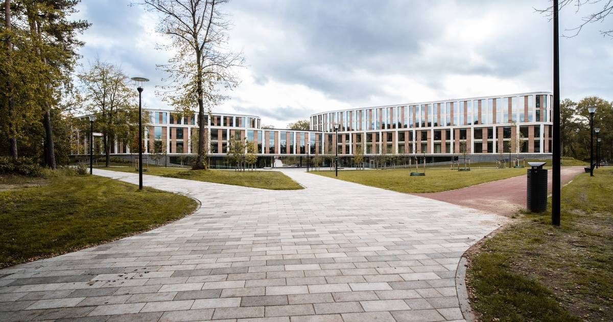 An der Radboud University | studieren deutlich weniger deutsche Studierende  Nimwegen